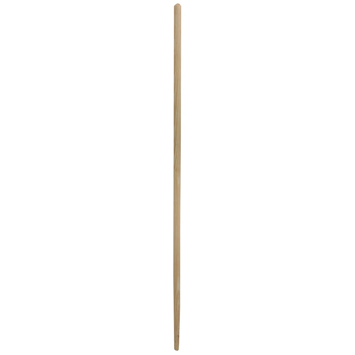 Rateau Caoutchouc 50 Cm avec Manche