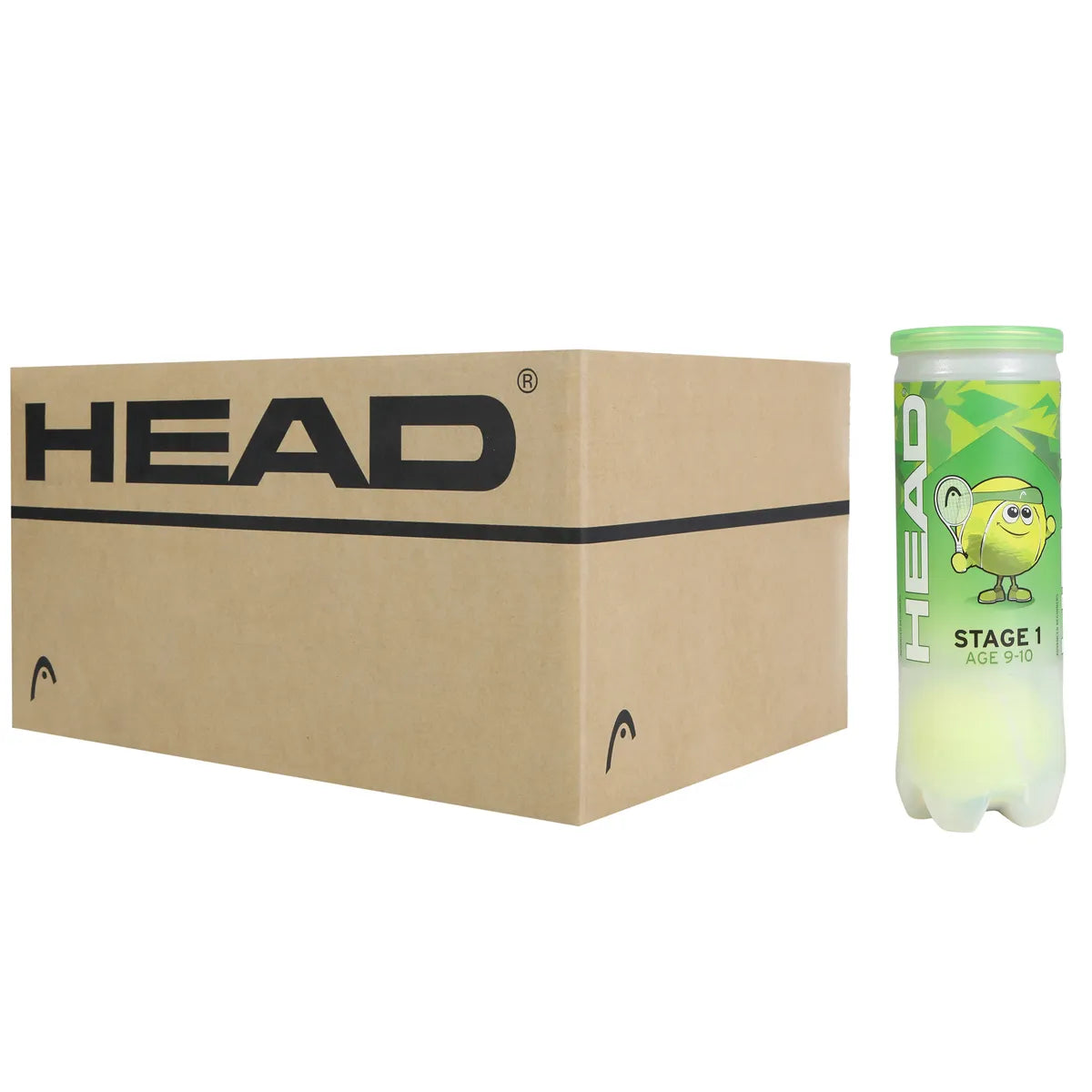 Carton de 24 Tubes de 3 Balles Head Tip Vert