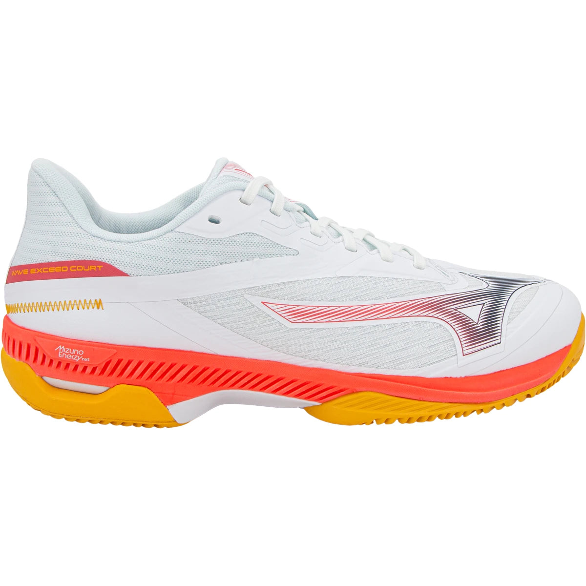 Chaussures Mizuno Wave Exceed Court Terre Battue