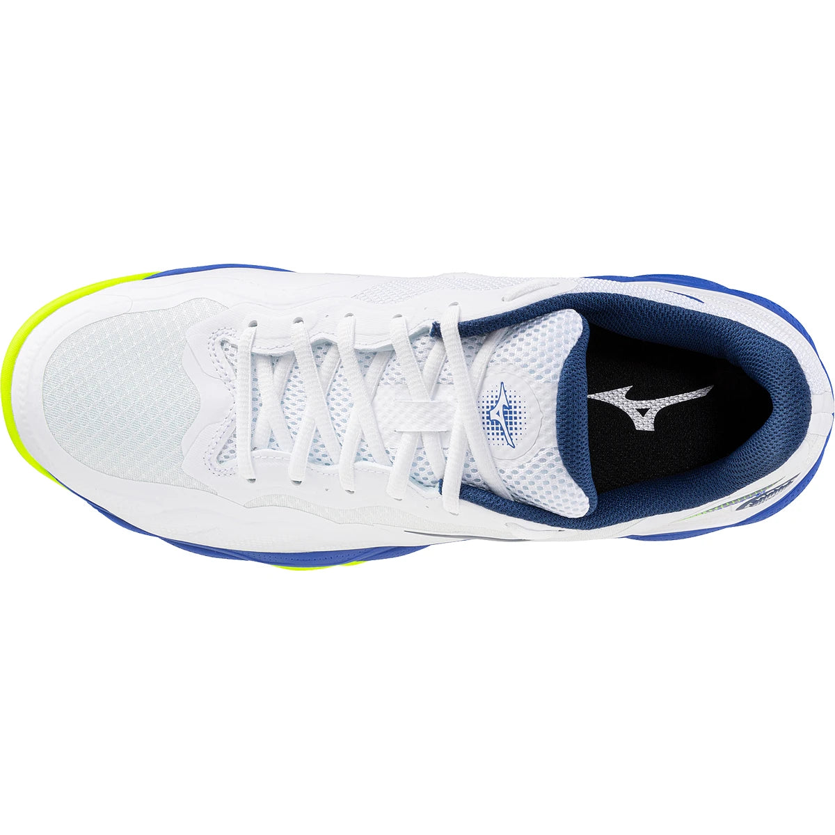 Chaussures Mizuno Wave Enforce Court Terre Battue