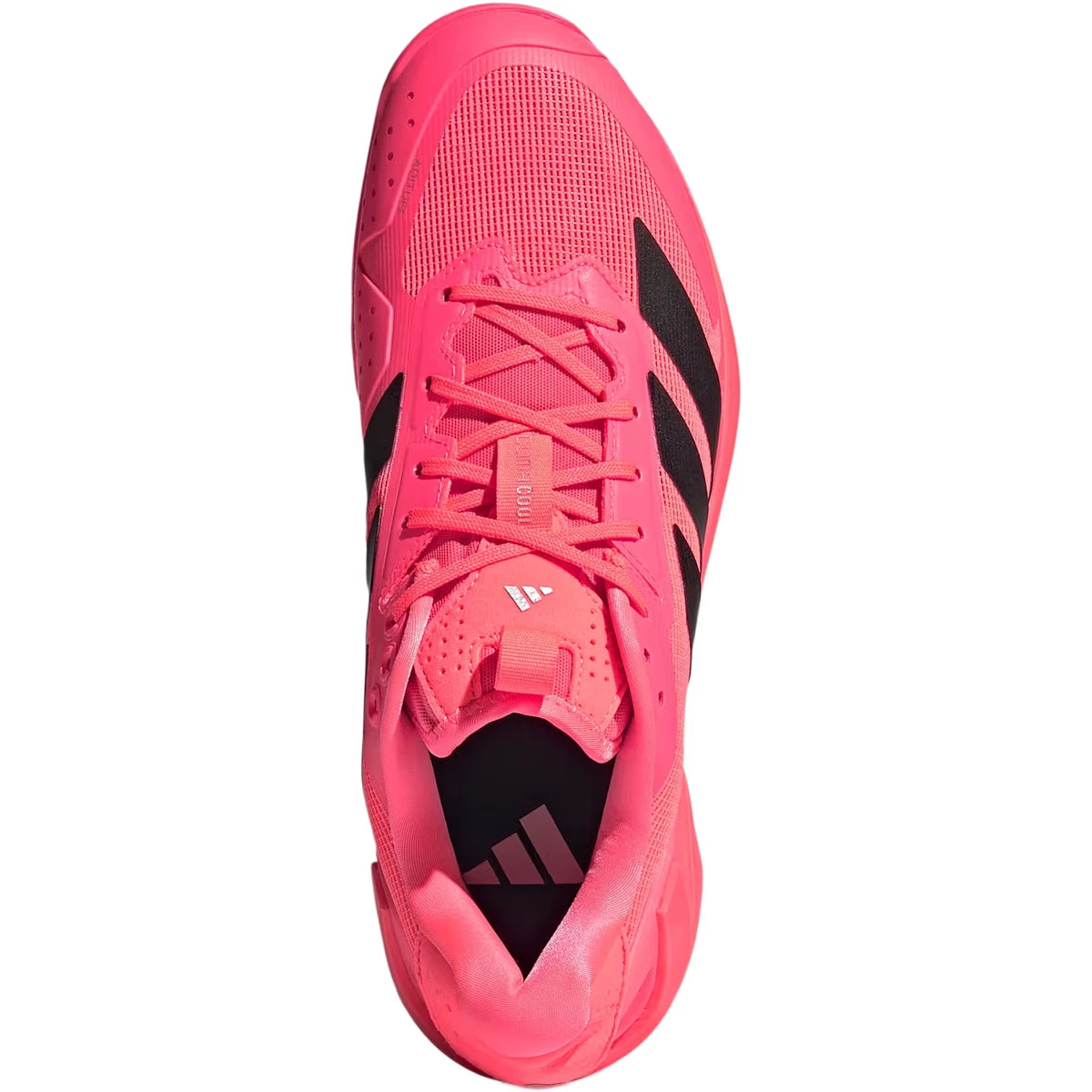 Chaussures adidas Adizero Ubersonic 5 Toutes Surfaces