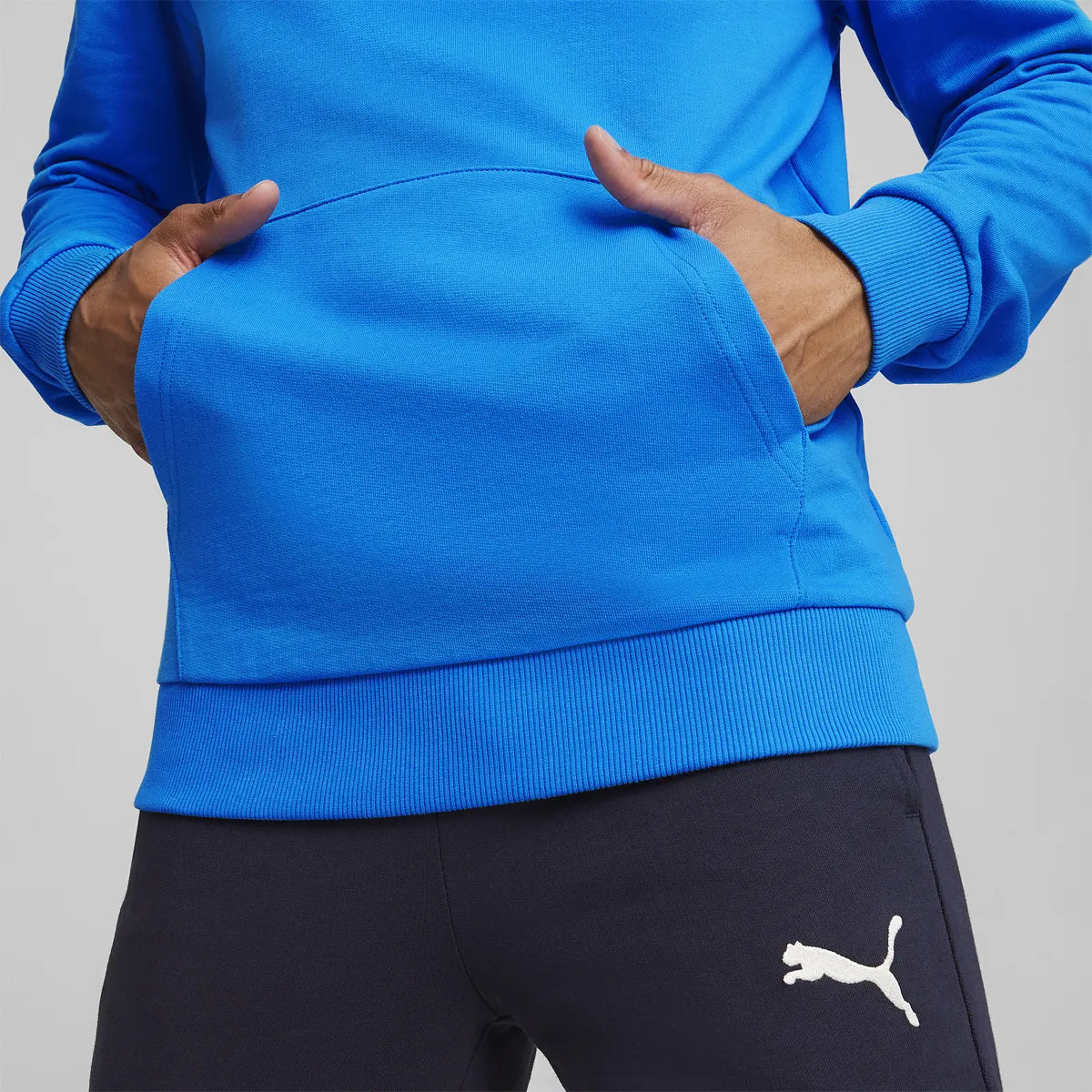 Sweat Puma Casual Team Goal A Capuche