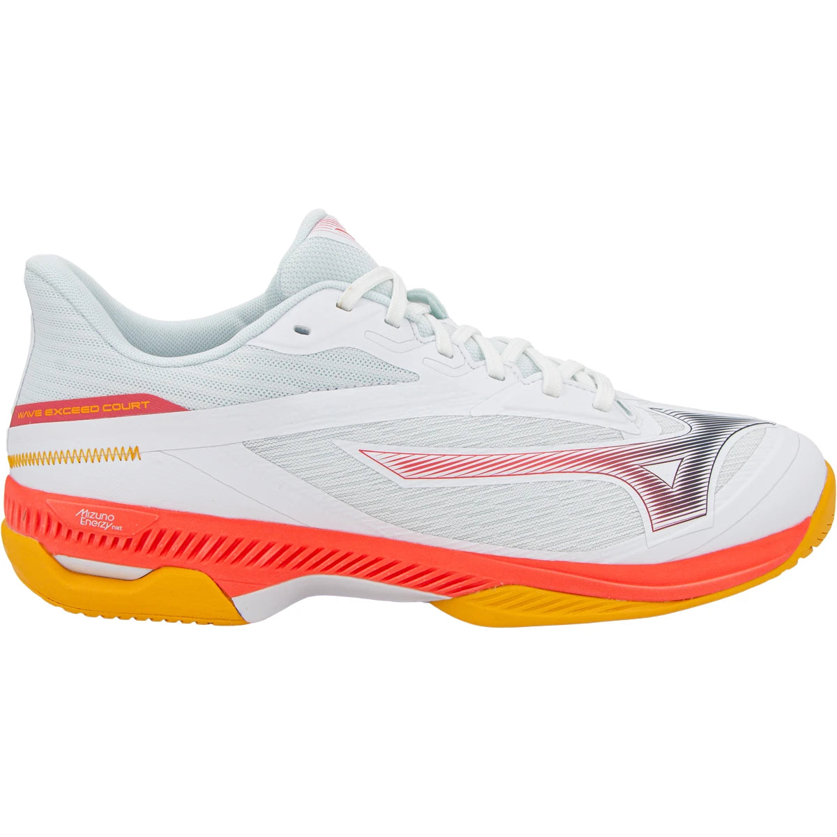 Chaussures Mizuno Wave Exceed Court Toutes Surfaces