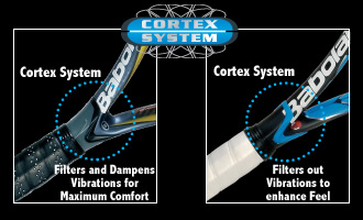 cortex-330x200.jpg