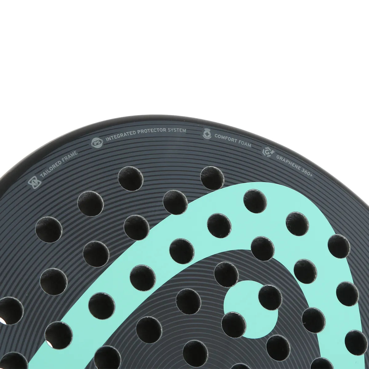 Raquette de Padel Head Vector 2025 Edition Limitee