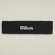 Bandeau Wilson Logo
