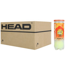 CARTON DE 24 TUBES DE 3 BALLES HEAD TIP ORANGE