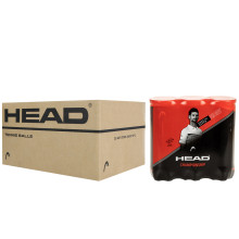 CARTON DE 8 TRIPACKS DE 3 BALLES HEAD CHAMPIONSHIP NOVAK