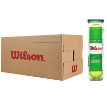 CARTON DE 18 TUBES  DE 4 BALLES  WILSON STARTER PLAY