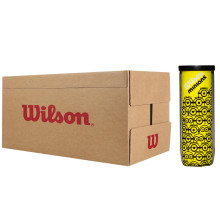 CARTON DE 24 TUBES DE 3 BALLES WILSON MINIONS CHAMPIONSHIP