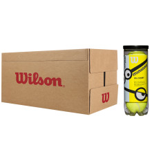 CARTON DE 24 TUBES DE 3 BALLES WILSON MINIONS STAGE 1