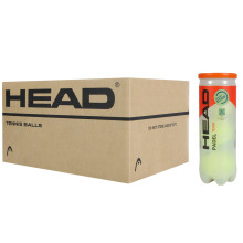 CARTON DE 24 TUBES DE 3 BALLES HEAD PADEL