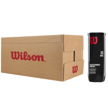 CARTON DE 24 TUBES DE 3 BALLES DE PADEL WILSON SPEED