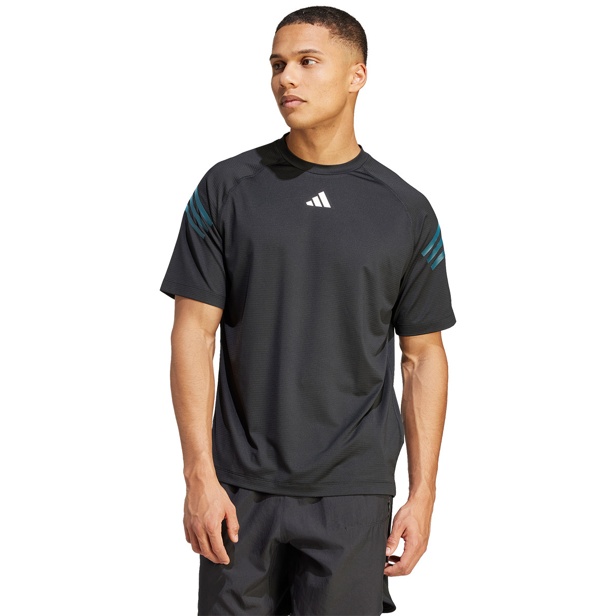 T shirt adidas 3 bandes homme new arrivals