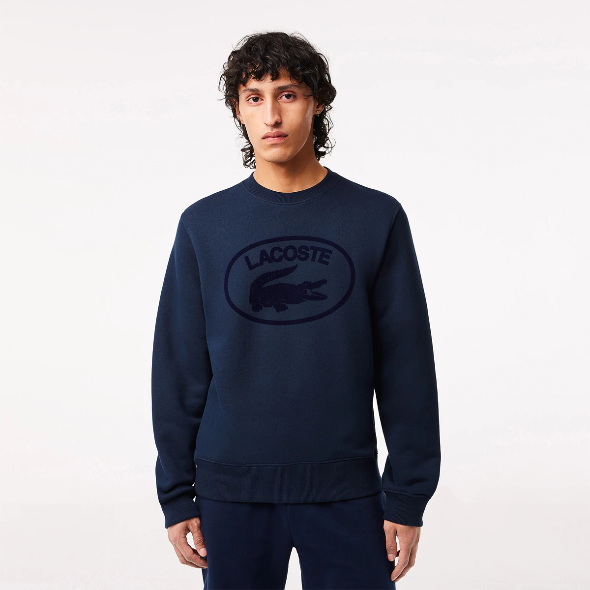 Sweat lacoste 2025 homme bleu marine
