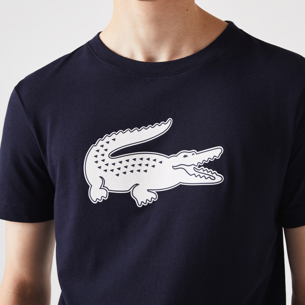Lacoste alligator shirt discount