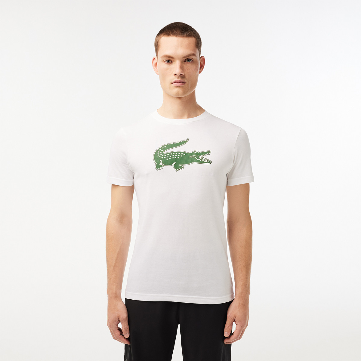 Training lacoste homme sales